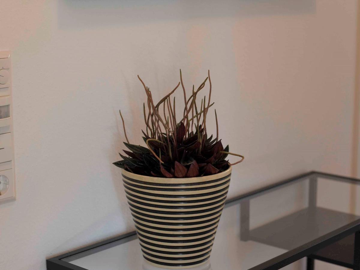 Apartment Ferienwohnung Im Weiler Winterlingen